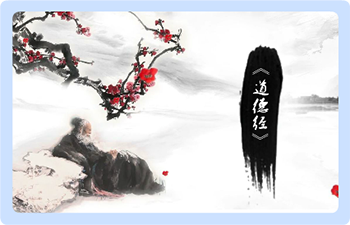 视频课程案例
